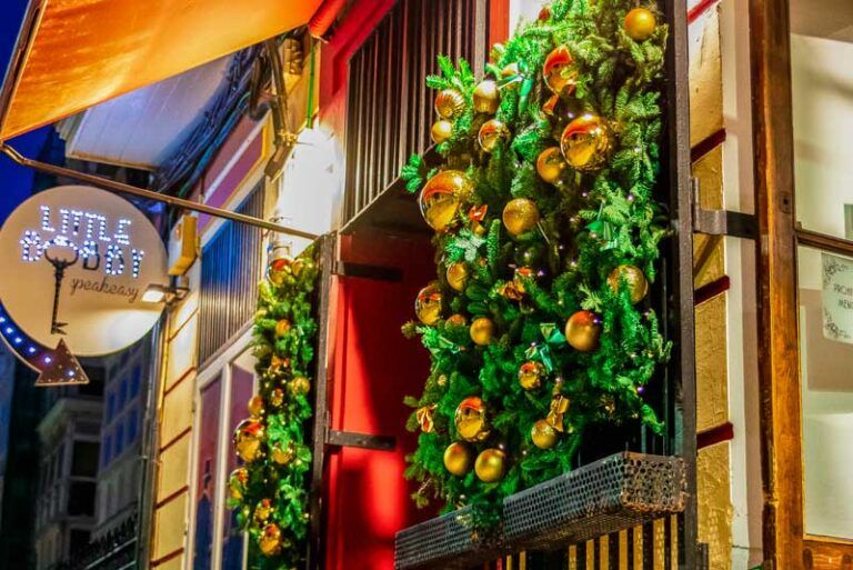 La Navidad toma forma: decoración vegetal para negocios y comercios