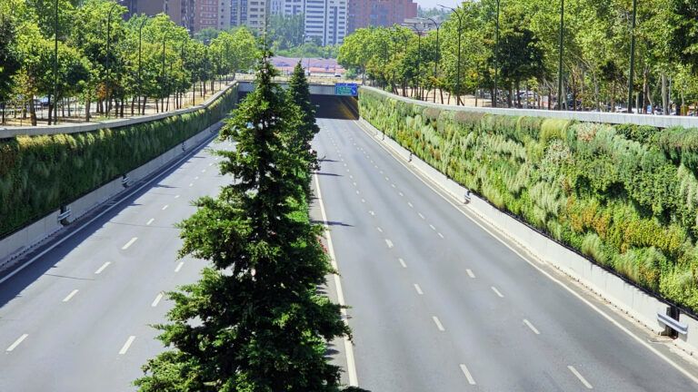 Cómo los jardines verticales mejoran el confort urbano