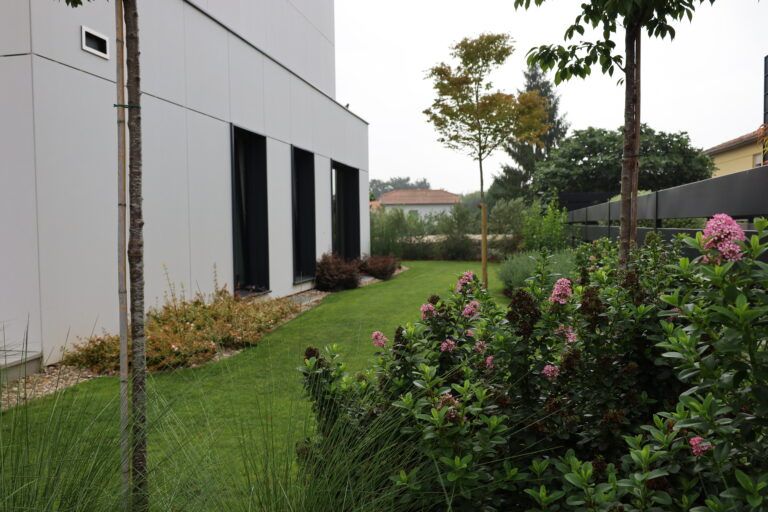 Plantas resistentes para jardines fríos: cómo elegir especies que prosperan en invierno